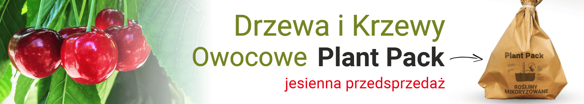 Drzewka i krzewy owocowe PLANT PACK